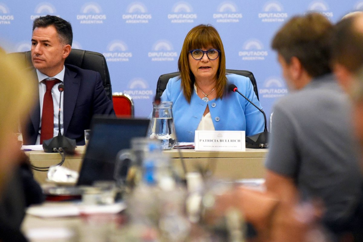 Ley mnibus: Bullrich confirm que removern el artculo que limitaba las protestas