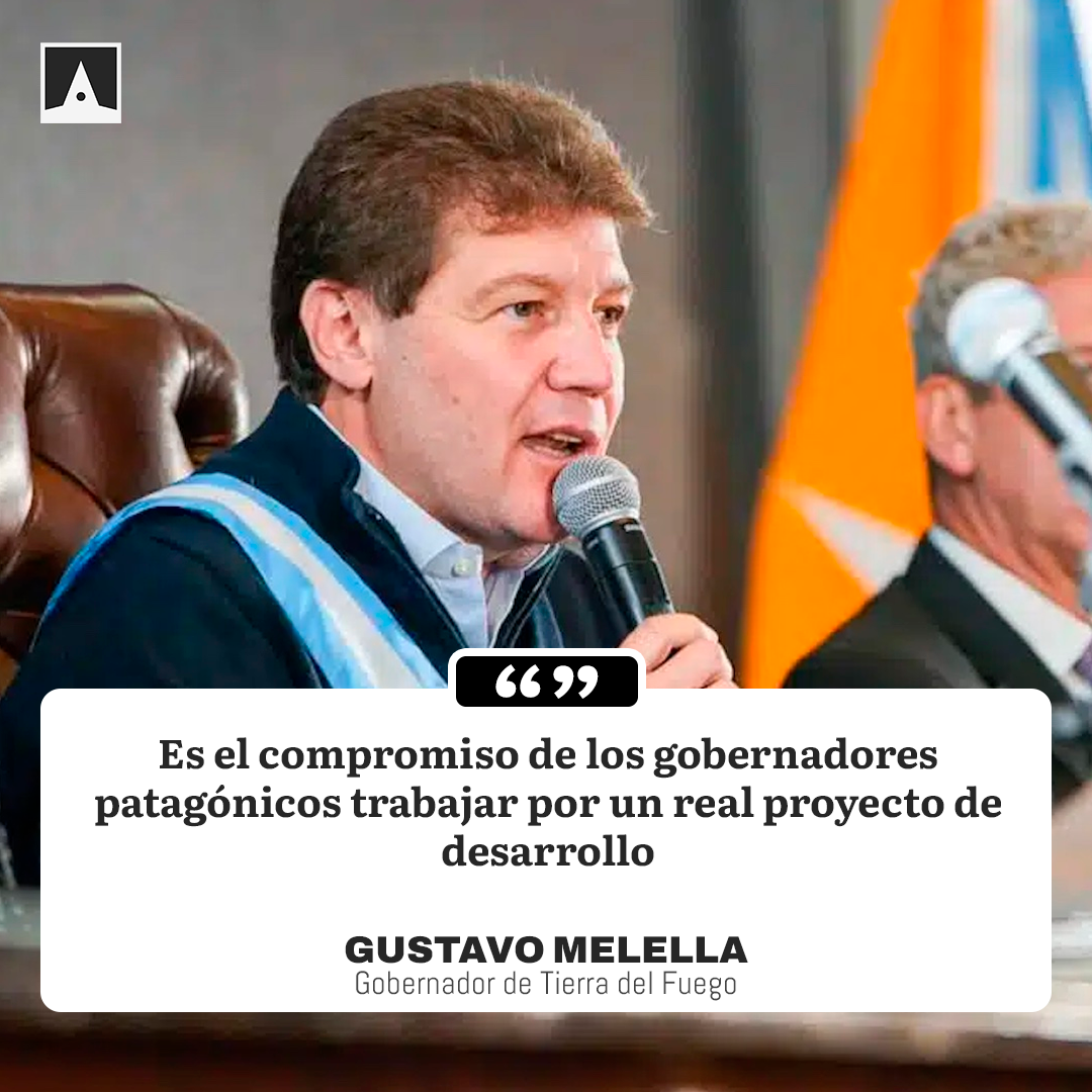 Frase Gustavo Melella 11012024
