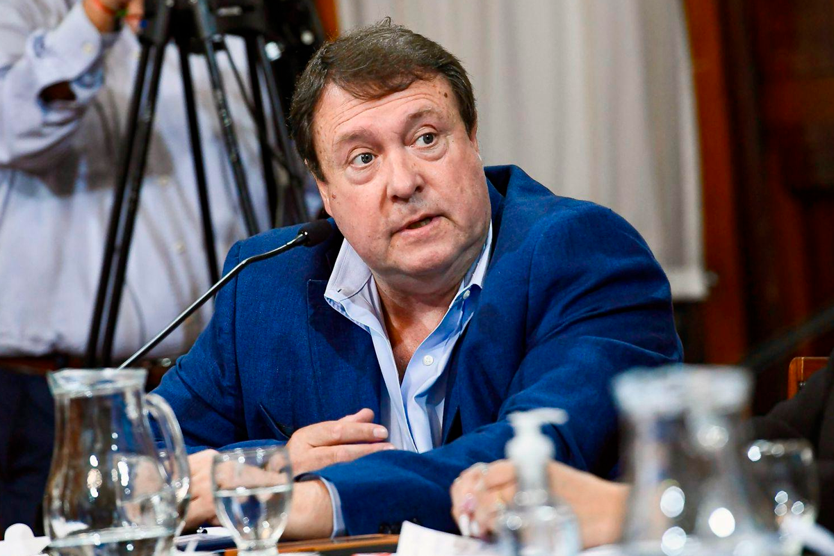 Weretilneck tras las marchas universitarias: 'La Patagonia se hizo escuchar'