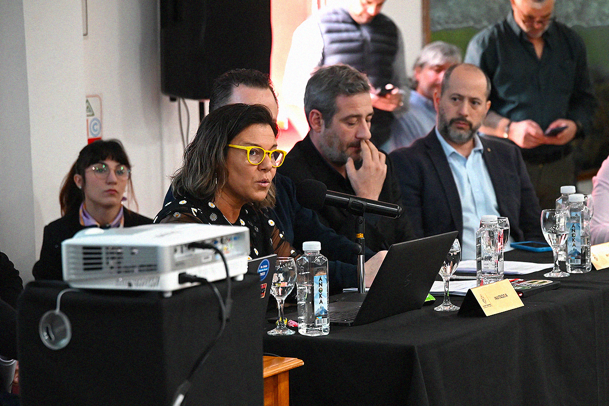 Capotorto: 'Gobierno nos recorta $800 millones y se los otorga directamente a Ushuaia'