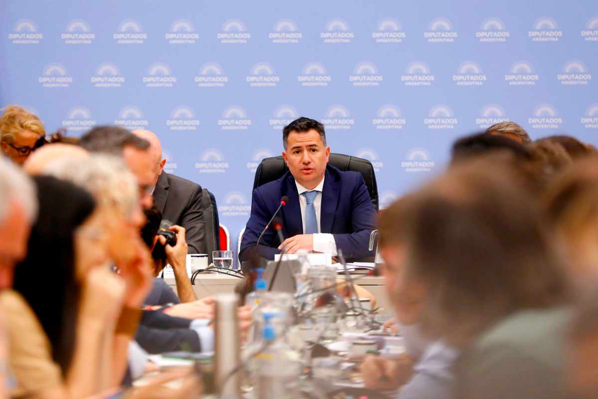 Ley mnibus: el Gobierno admiti que podra reducir la duracin de las emergencias