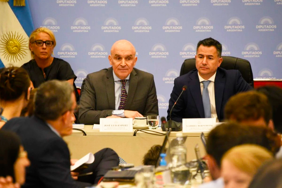 Ley mnibus: el Gobierno admiti que podra reducir la duracin de las emergencias