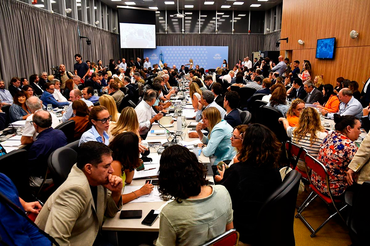 Pauli rechaz la baja de diputados y cit a los colonos estadounidenses 